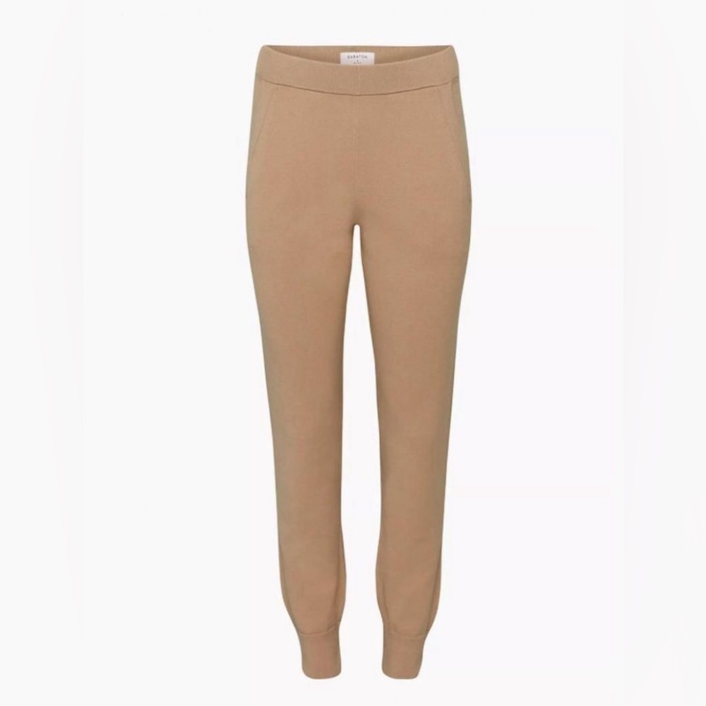 Aritzia The Group by Babaton Rodin Jogger